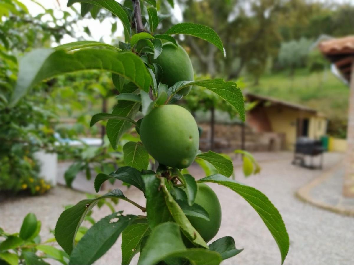 Гостьовий будинок Casa Rural El Bonito Касалья-де-ла-Сьєрра Екстер'єр фото